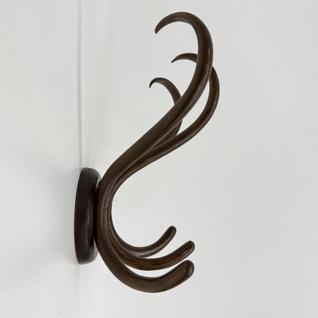 Brown Antique Bentwood Wall Mounted Coat Rack, 1930s For Sale - Image 8 of 18