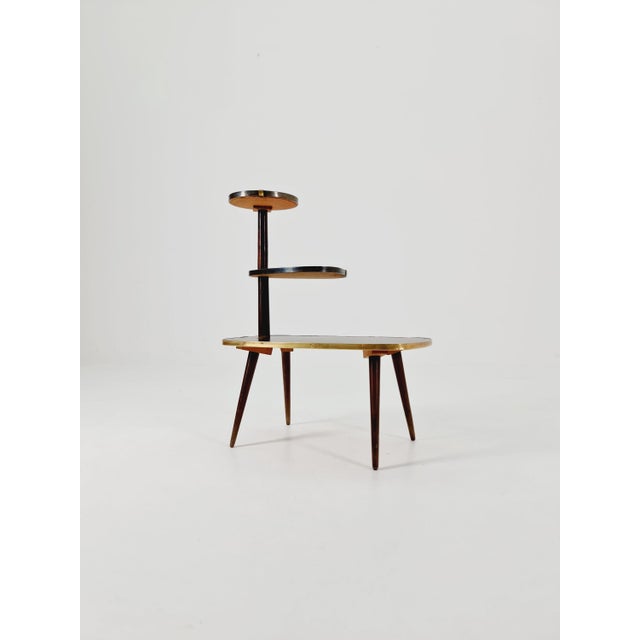 Contemporary Minimalist German Indoor Flower Table, 1960s For Sale - Image 3 of 10