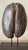 African A Coco-De-Mer (Lodoicea Maldivica) and Stand 20th Century Exceptional! For Sale - Image 3 of 13