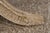 William Switzer Georgian Style Carved X Form Bench Stool For Sale - Image 12 of 14