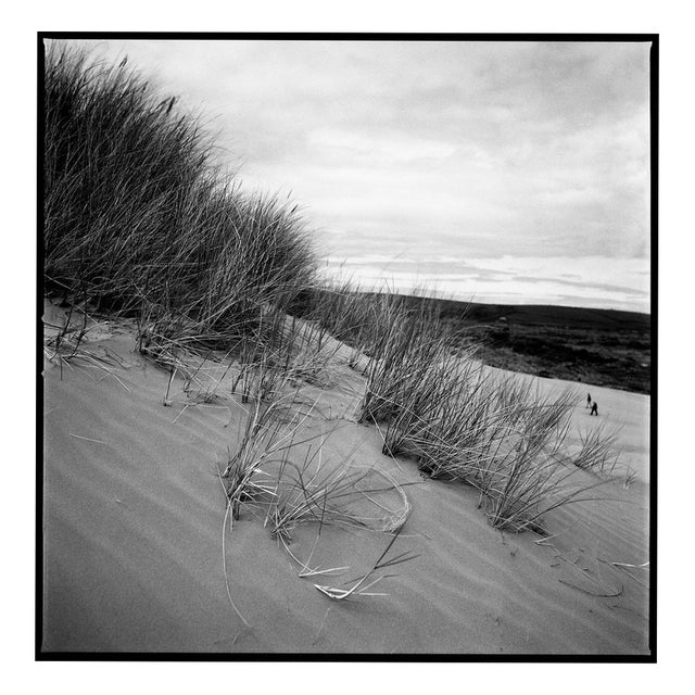 Paul Cooklin, Sand Dune III, Edition of 50 For Sale
