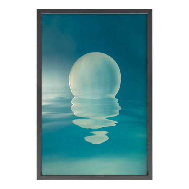 Lone by Mallory Morrison Print with Black Frame - 16 X 24 For Sale