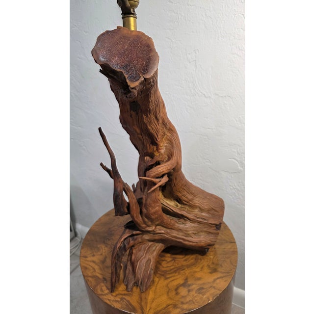 Wood Vintage Driftwood MCM Wood Table Lamp For Sale - Image 7 of 12