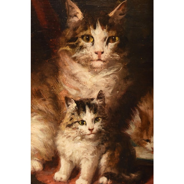 Jules Gustave Le Roy, Cats Portrait Painting, 1800, Oil Painting on Wood For Sale - Image 6 of 11