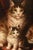 Jules Gustave Le Roy, Cats Portrait Painting, 1800, Oil Painting on Wood For Sale - Image 6 of 11