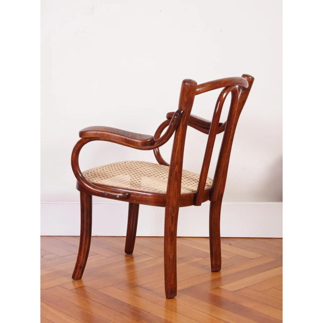 1930s Vintage Children's Chair Model Z 2F From Thonet, 1930s For Sale - Image 5 of 18