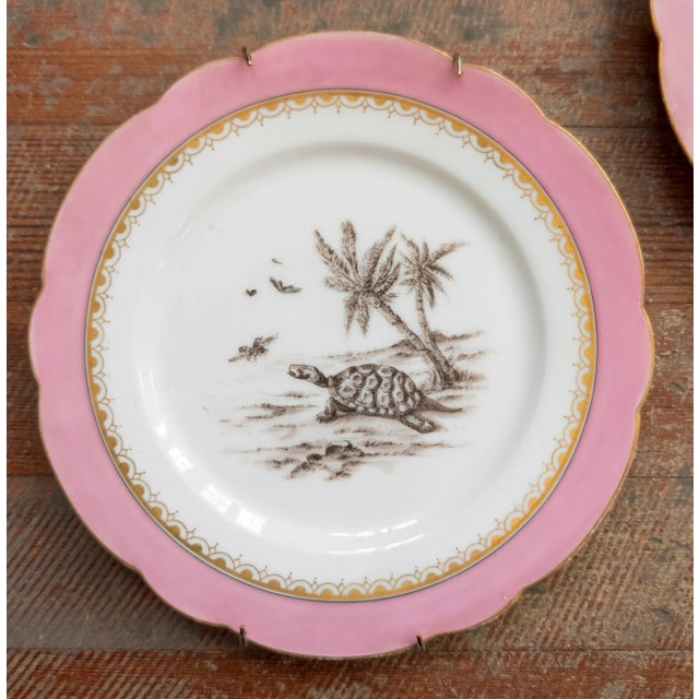 We are selling this pair of very well painted decorative plates. This pair of plates comes from a larger set we are...