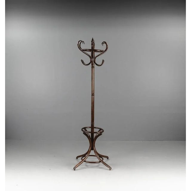 Beech Coat Rack, 1980s For Sale - Image 5 of 13