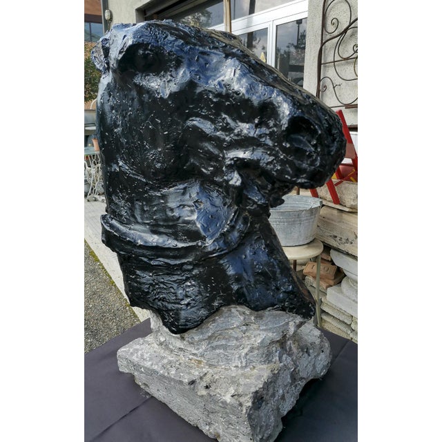 1930s Statue Horse Horse in Black Painted Cement, Italy For Sale - Image 5 of 10