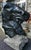 1930s Statue Horse Horse in Black Painted Cement, Italy For Sale - Image 5 of 10