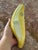 Italian Glazed Ceramic Banana Sculpture (After Warhol) (After Maurizio Cattelan) For Sale - Image 15 of 18