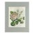 Hand-Colored Rose Engraving, 1805 | Bertuch Antique Botanical Print For Sale