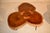 20th Century Pair of Live Edge Acacia Coffee/Cocktail Tables For Sale - Image 9 of 13
