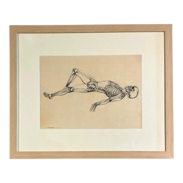 Vintage Framed Reclining Skeleton Study on Paper For Sale