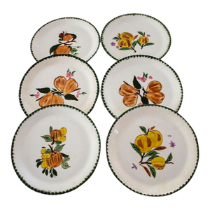 Southern Potteries Blue Ridge China Dinner Plates - Set of 6