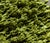 Turkish Epidote Boxwork Specimen by Stillmantle For Sale - Image 4 of 5