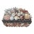 Vintage Shell Encrusted Box For Sale