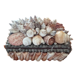 Vintage Shell Encrusted Box