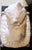 Vintage Italian Terra-Cotta Two Piece Sculpture Persian White Cat on a Pillow Circa 1960s For Sale - Image 9 of 16