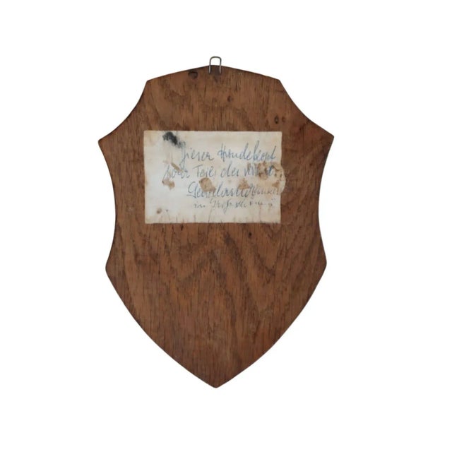 Wood Black Forest Hand-Carved Dog Head Plaque in Wood, 1890s For Sale - Image 7 of 8