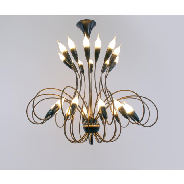 Spectacular large chandelier with 24 curved brass arms ending with black lampholders. Chandelier illuminates beautifully...