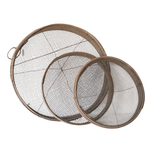 Rustic Wooden Grain Sieves, 1920s, Set of 3 For Sale