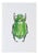 Juris Utans, Big Green Beetle, 2021, Mixed Media on Paper For Sale