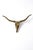 Vintage Brass Longhorn Wall Mount For Sale - Image 6 of 10