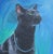 This oil on panel artwork features a striking black cat adorned with a delicate necklace, exuding an air of regality. The...