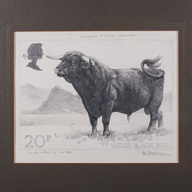 Vintage Stamp Proof Sketch, English, Barry Driscoll, Welsh Black Bull, Framed For Sale - Image 4 of 10