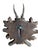 1900 - 1909 Roe Deer Trophy 228 Black Forest Antlers For Sale - Image 5 of 5