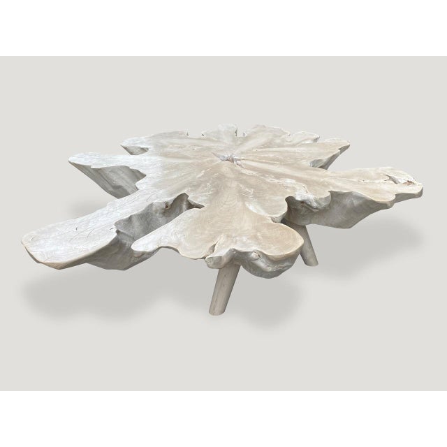 Impressive eight inch single slab reclaimed teak wood coffee table. We bleached the teak and added a shellack to the top...