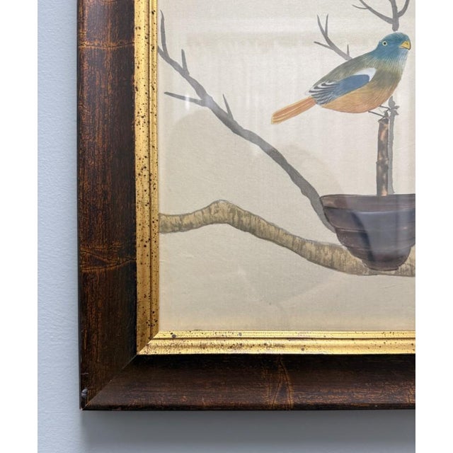 Chelsea House “The Aviary” Hand-Painted Watercolor on Silk For Sale - Image 11 of 15
