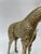 Mid-Century Modern Mid 20th Century Brass Giraffe Figure For Sale - Image 3 of 5