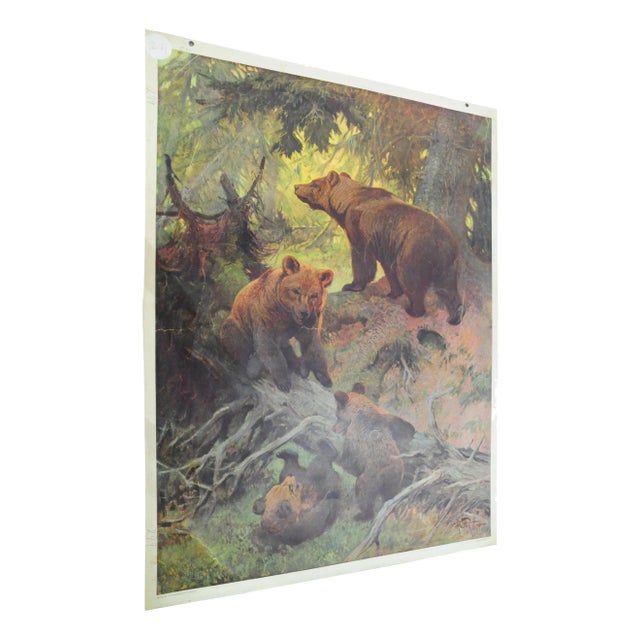 Vintage Family of Brown Bears Printed Wall Chart For Sale