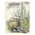 Grace Spongberg Sabino Canyon Arizona Drawing For Sale