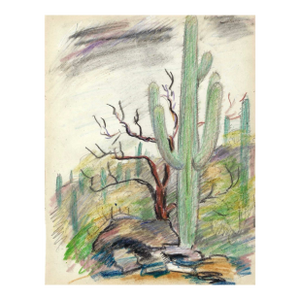 Grace Spongberg Sabino Canyon Arizona Drawing
