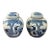 Pair of Small Blue & White Ginger Jars With Classic Chinese Motif For Sale