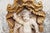 Beige Cherub Angel Within a Baldachin, 18th Century, Portuguese Baroque For Sale - Image 8 of 15