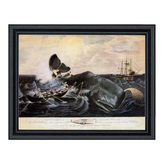 Capturing a Sperm Whale Print Behind Glass in Black Solid Wood Frame- 11x14" Print, 12-3/4" X 15-3/4" Framed For Sale