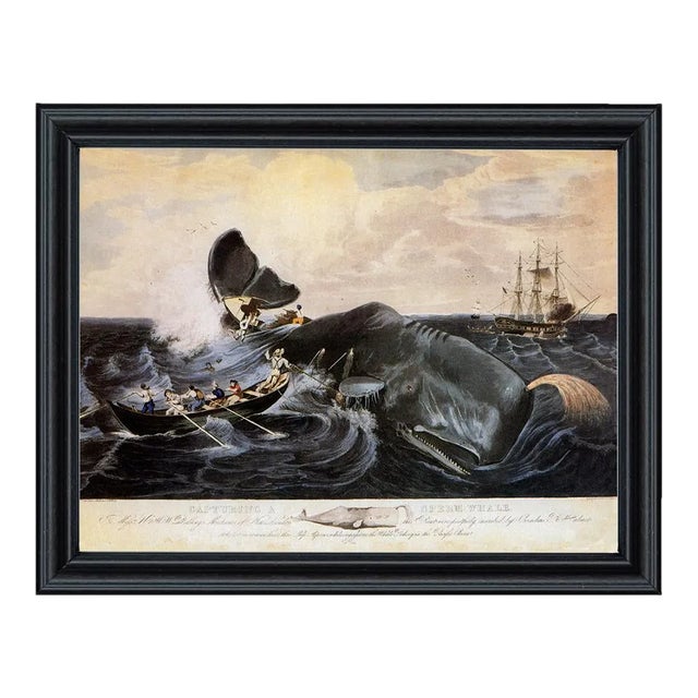 Capturing a Sperm Whale Print Behind Glass in Black Solid Wood Frame- 11x14" Print, 12-3/4" X 15-3/4" Framed For Sale