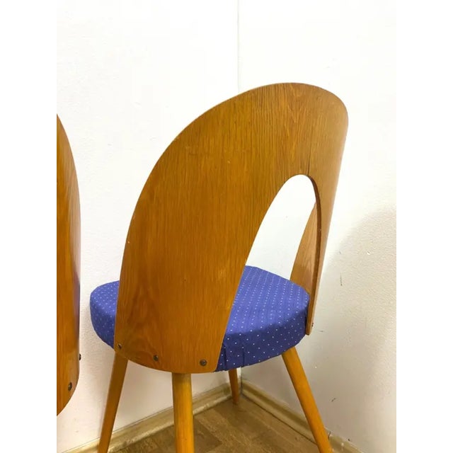 1960s Chairs by Antonín Šuman for Ton, 1960s, Set of 2 For Sale - Image 5 of 10