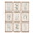 Botanical Illustrations, Set Of 9 For Sale