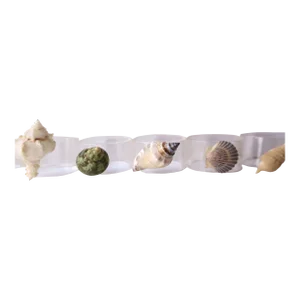 Seashell and Lucite Napkin Ring Holders, Set of 10