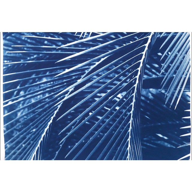Modern 2021 "Majesty Palm Pattern" Handmade Cyanotype Print on Watercolor Paper For Sale - Image 3 of 7
