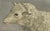After Jacques de Sève, Sheep, 1769, Print For Sale - Image 3 of 10