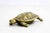 Gold Vintage Brass Turtle Ashtray, 1960s For Sale - Image 8 of 8