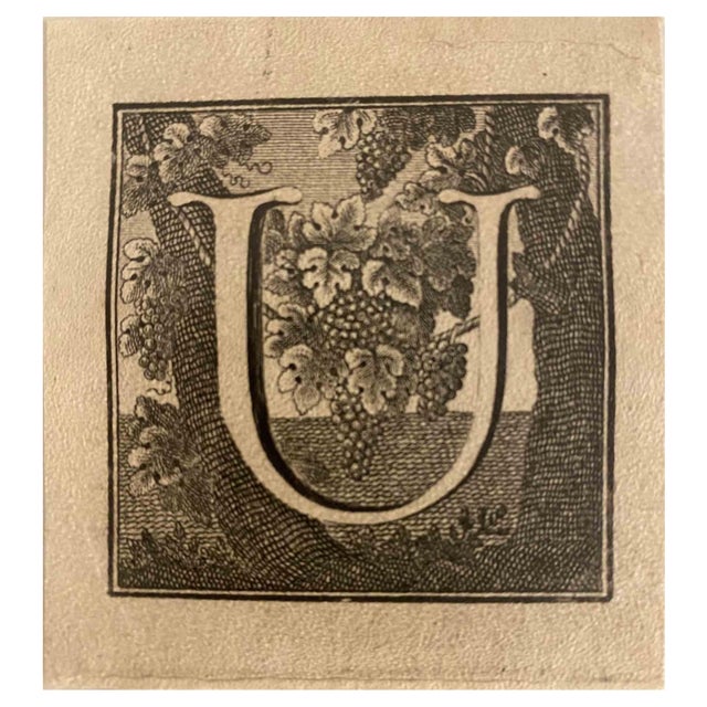 Luigi Vanvitelli, Letter of the Alphabet U, Etching, 18th Century For Sale