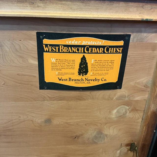 Antique West Branch Cedar Chest Carved Blanket Trunk Annie Sloan Black 48" For Sale - Image 11 of 11