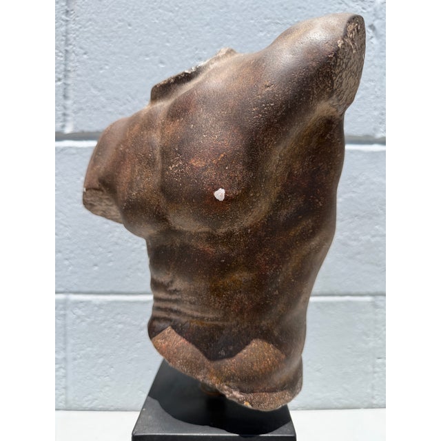 Classical Roman 1991 Classical Male Torso Sculpture by Sergey Eylanbekov for Alva Studios For Sale - Image 3 of 8